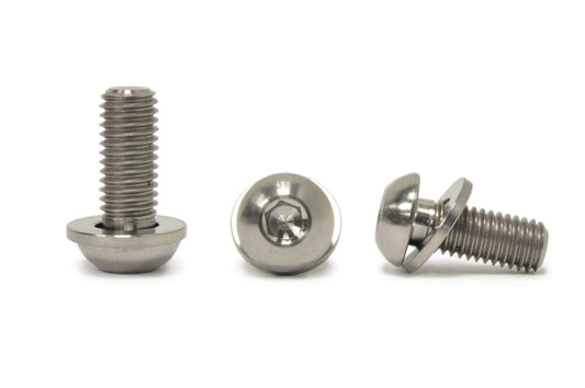 STM Titanium Bolts & Flat Washers (M8-1.25 x 20mm)