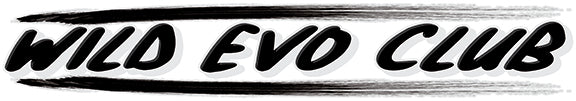 30" Wild Evo Club Banner