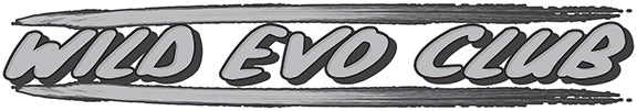 30" Wild Evo Club Banner